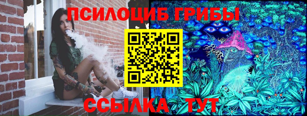 купить закладку  Псилоцибиновые грибы MAGIC MUSHROOMS  Вход с VPN  Асбест 